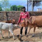 Dairy Entrepreneurship Development Scheme Transforms Sukhsagar’s Life